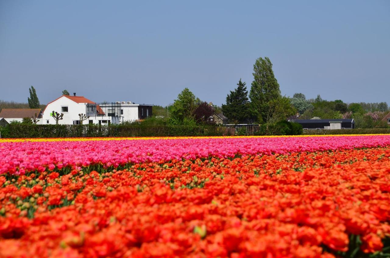 Wellness Bed & Breakfast Pergamo Voorhout Kültér fotó